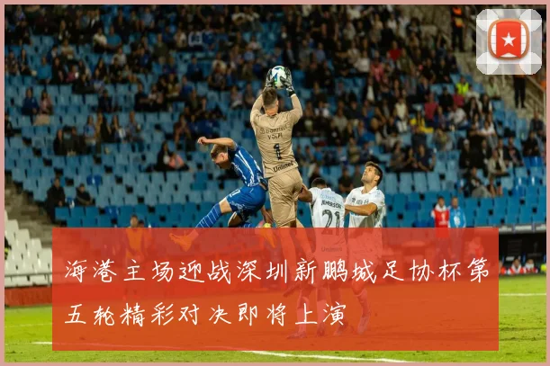 海港主场迎战深圳新鹏城足协杯第五轮精彩对决即将上演